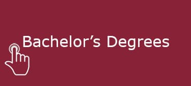 bachelor's degrees