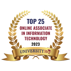 top 25 online IT associates